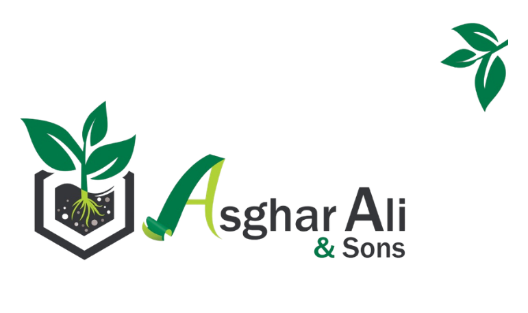 Asghar Ali & Sons